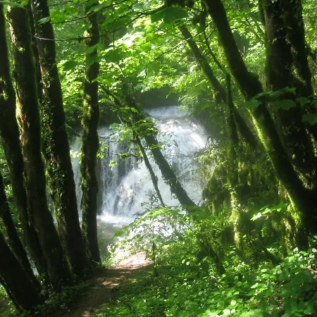 Oda ve Kahvaltı Murmure Des Buis